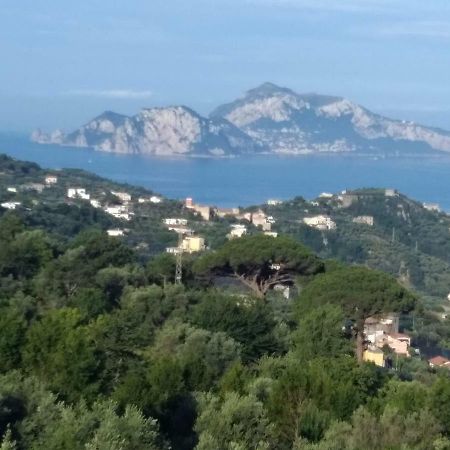 La Vista Sul Golfo Lägenhet Massa Lubrense Exteriör bild