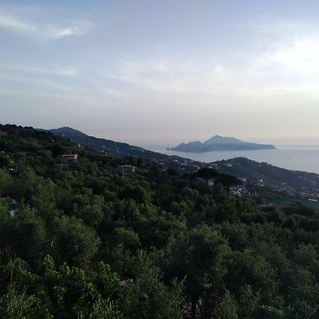 La Vista Sul Golfo Lägenhet Massa Lubrense Exteriör bild