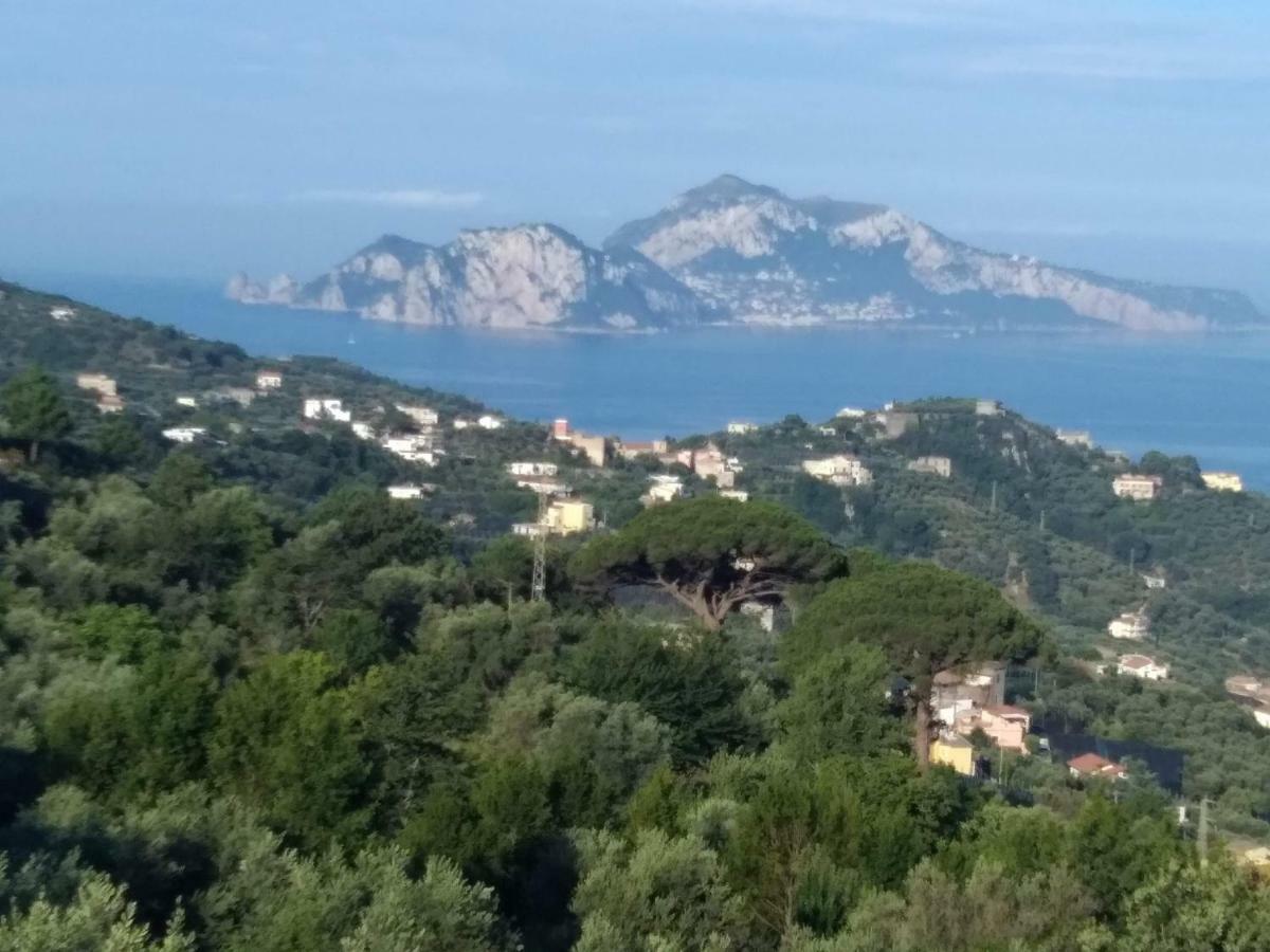 La Vista Sul Golfo Lägenhet Massa Lubrense Exteriör bild