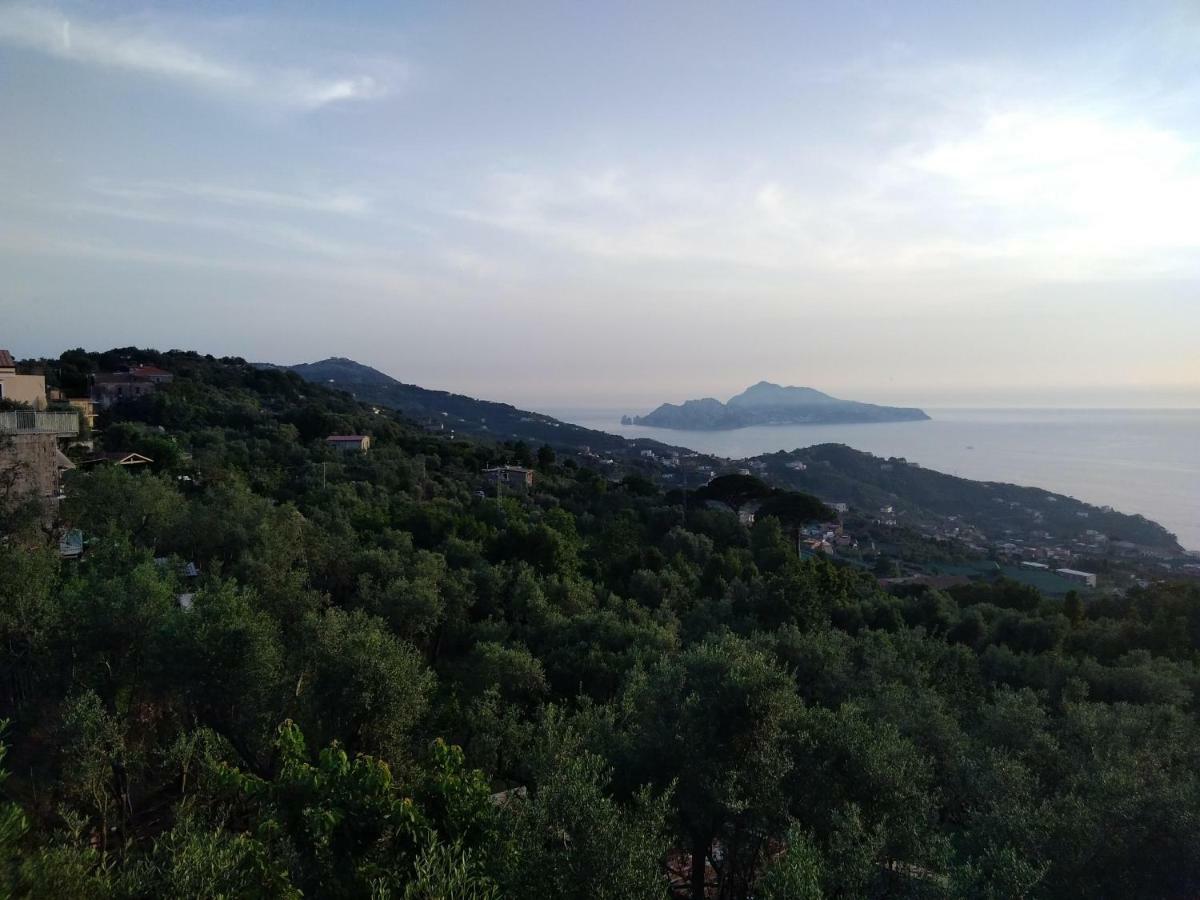 La Vista Sul Golfo Lägenhet Massa Lubrense Exteriör bild