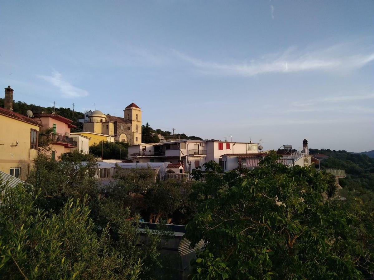 La Vista Sul Golfo Lägenhet Massa Lubrense Exteriör bild